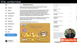 💰Аирдроп Catizen. Как быстро прокачать котов. Новости GRASS, HOT, Kingy🍀
