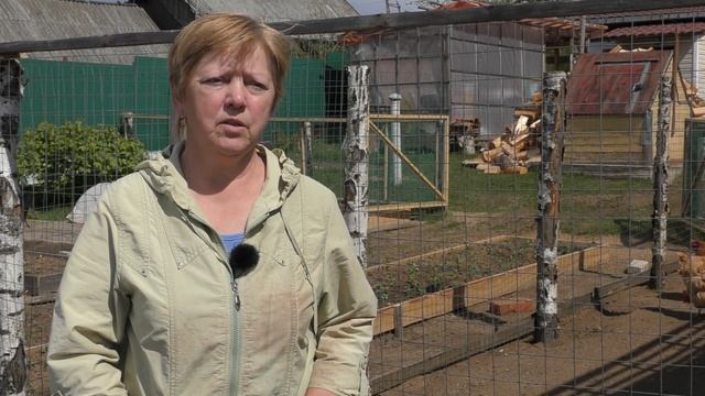 Яйценоскость кур-несушек и их содержание