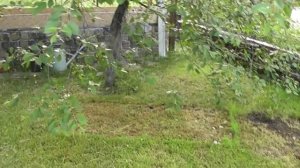 Умные грядки и советы дачникам огородникам