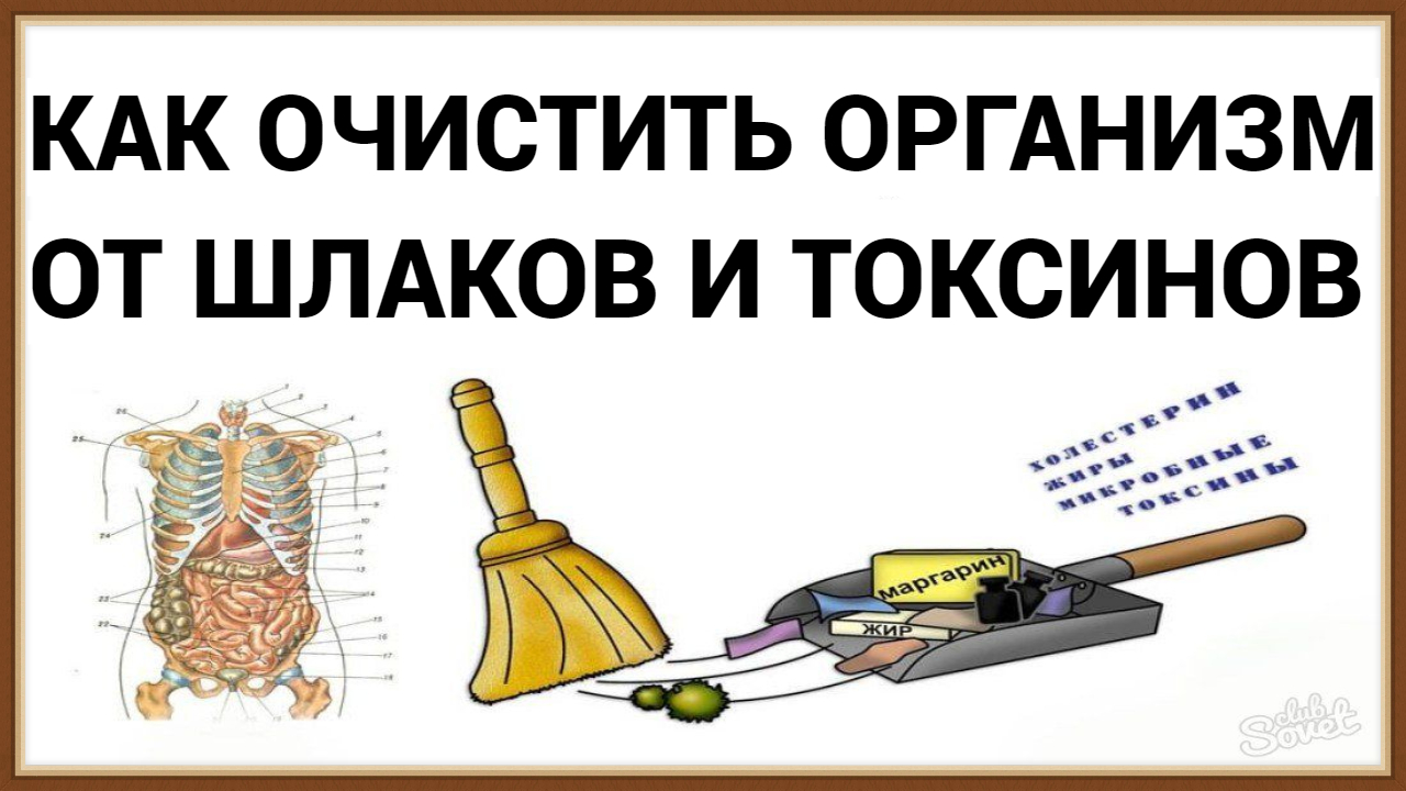 КАК ОЧИСТИТЬ ОРГАНИЗМ ОТ ШЛАКОВ И ТОКСИНОВ