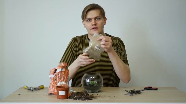 Мастер-класс. Флорариум к 23 февраля.