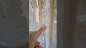 Стоит ли штукатурить бетонную стену?