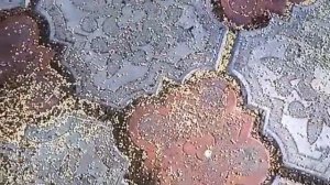 Муравьи в саду. Нам поможет пшено! И не только!