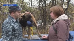 Кинологи рассказали северянам о своей работе