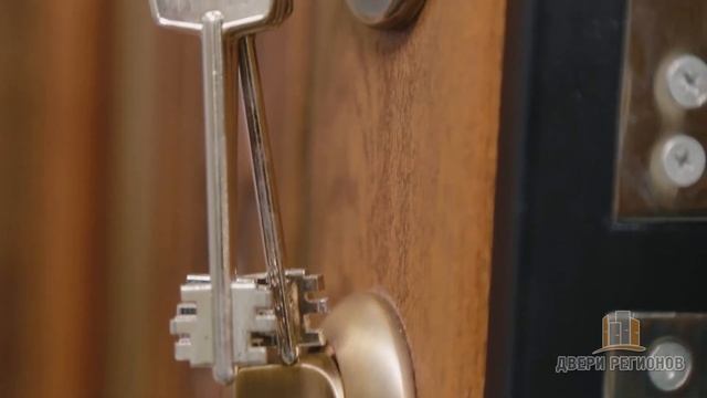 Металлические двери Regidoors РУСЬ смотреть онлайн