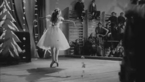 Дикая собака динго