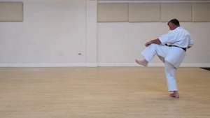 Chinto Kata - Wado Ryu Karate - Full Video