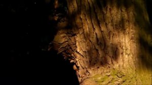 ГАЯТРИ МАНТРА - 2 часа исп. Дева Примал