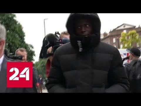 Пнул кошку: футболиста приговорили к общественным работам - Россия 24