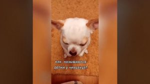 ПРИКОЛЫ ДЛЯ ВЗРОСЛЫХ,ЛУЧШИЕ ПРИКОЛЫ,СБОРКА РЖАЛ ДО СЛЁЗ ЧЁРНЫЙ ЮМОР №9