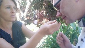 Вьетнам Муйне январь лучший массаж из недорогих... Проверенно