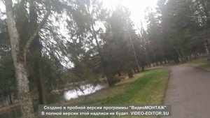 Жизнь как жизнь.(Екатерина Синицына - Сантони )Агент спецслужб или партизанка-подпольщица???