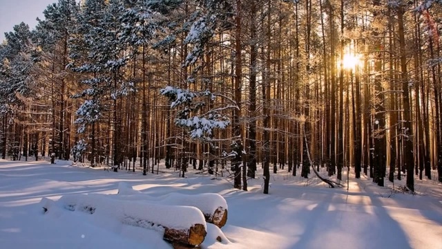 Зима -- королева холодных ветров...