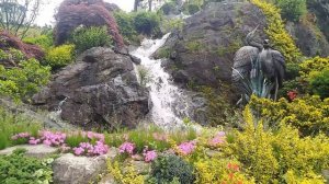 Природа Южной Кореи - Beartree Park/The nature of Southern Korea/남한의 본성/Janubiy Koreyaning tabiati