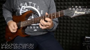 Электрогитара IBANEZ RG421