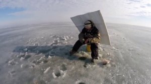 Крупный карась на льду Маныча! Семейная рыбалка. Юрий Философ. 2016 год.