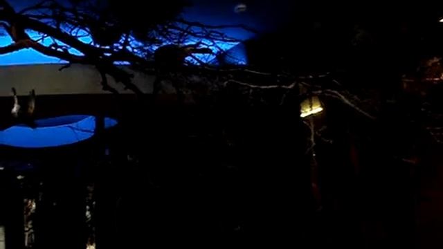 Беловежская пуща, музей природы, часть1 смотреть онлайн