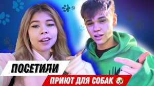 ПРИЮТ ДЛЯ ЖИВОТНЫХ ВЛОГ