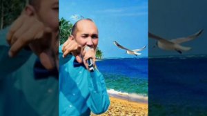 К Синему морю (Мой кораблик-лепесток)