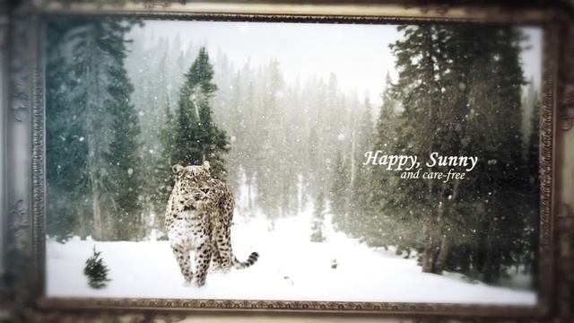 Videohive Gallery of Dreams Parallax Slideshow - DIZAYNPROJECT.mp4 смотреть онлайн