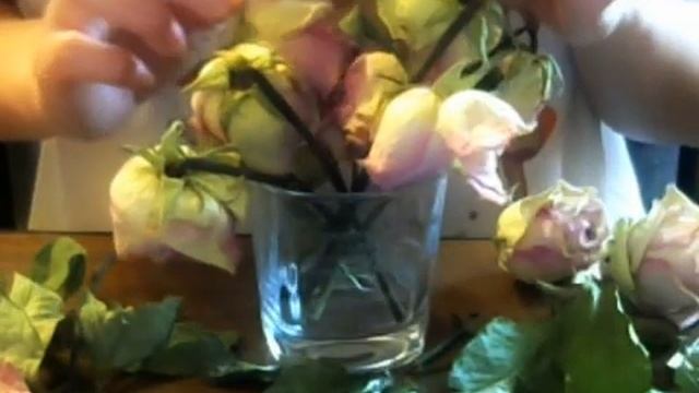 ASMR Scratching Dried Flowers / АСМР Сухие цветы Шуршание смотреть онлайн