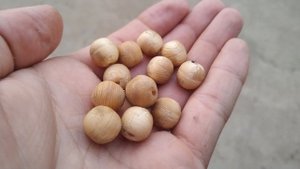 Как сделать круглые шарики из дерева?