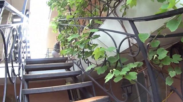 Мы в Крыму! Гостим в Феодосии ? смотреть онлайн