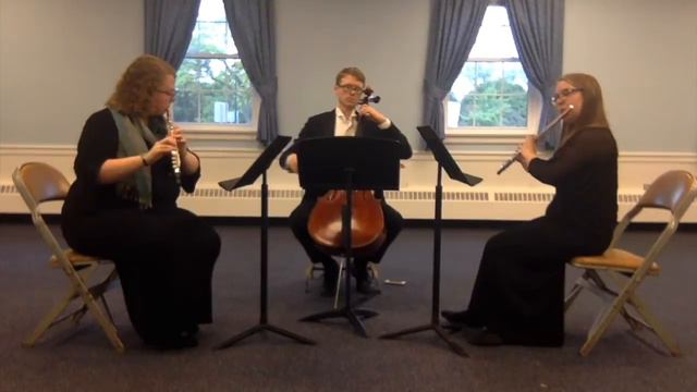 Stamitz Trio in G Major Op. 14 No. 1 смотреть онлайн