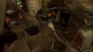 ЗОЛОТО С ПРОЦЕССОРОВ !!! #золото #аффинаж #позолота #радиодетали #драгметалл #гидразин