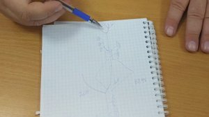 Крестцовое сплетение, длинные ветви