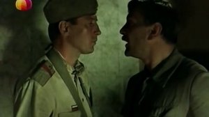 Тревоги первых птиц