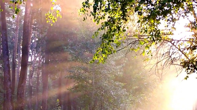 А ЗА ОКНОМ ОПЯТЬ ДОЖДИ смотреть онлайн