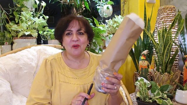 Unboxing! Abriendo paquetito: Hoya Lobbi, Dischidia Million Hearts, Scindapsus y Pothos Pearl & Jad смотреть онлайн