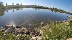 Carp Fishing at a NEW Jungle Spot! (Fast Action)