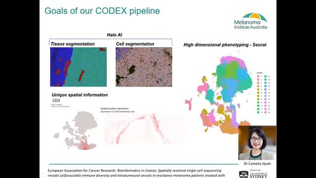 Dr James Wilmott - CODEX multiplex image mapping to scRNAseq in immunotherapy treated melanoma смотреть онлайн