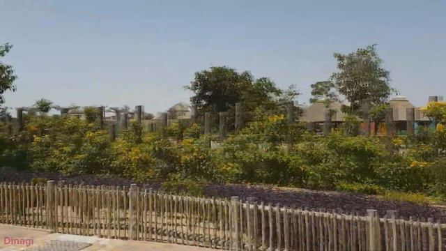 Dubai Safari Park ??? Dubai Zoo ? смотреть онлайн