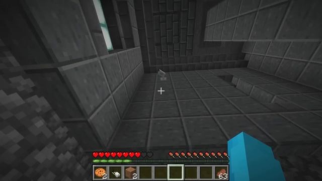 Using PORTALS To Trick My Friends In Minecraft! смотреть онлайн