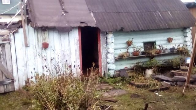 Вот и наступила зима. Первый снег, первая сказка