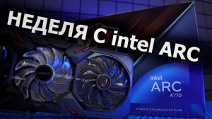 intel ARC спустя год обновлений драйверов. По прежнему сыро, или уже годно?