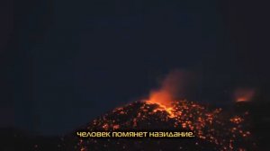 Чтец Плачет ? Красивое чтение Корана