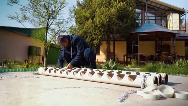 Вертикальное озеленение своими руками