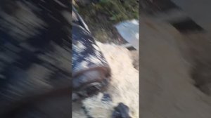 Изготовление черенков разных размеров