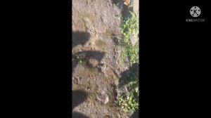 Выкидываю вещи из окна 7 этовать