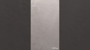 наносим материал морской губкой