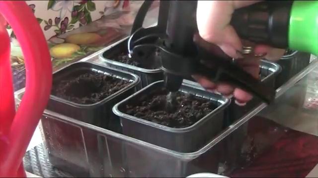 Посев семян огурцов на рассаду. Апрель 2018 г // секреты хороших урожаев. смотреть онлайн