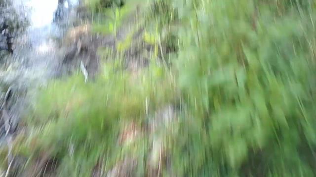 Рыбалка подсакою. Ловля ротаня смотреть онлайн