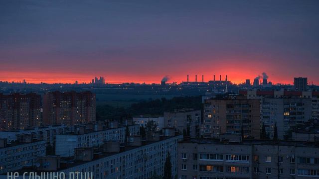 Physeter- Не слышно Птиц смотреть онлайн