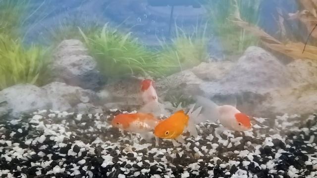 25 ноября смотреть онлайн