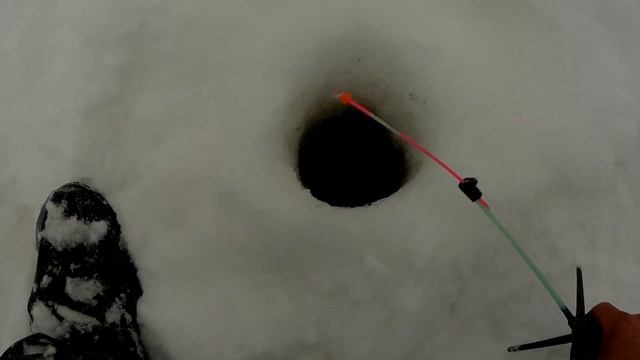 Уехали на рыбалку в глухомань , где волки ходят. смотреть онлайн