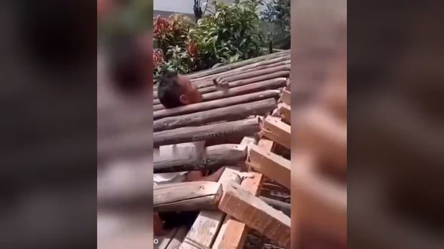 2_5474536753396197986.MP4